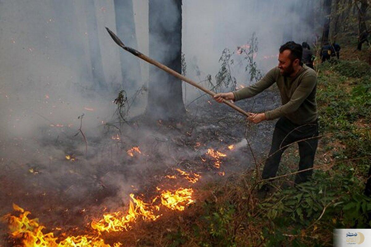 پایان ماجرا   فرد متهم به آتش‌سوزی جنگل‌های هیرکانی بازداشت شد