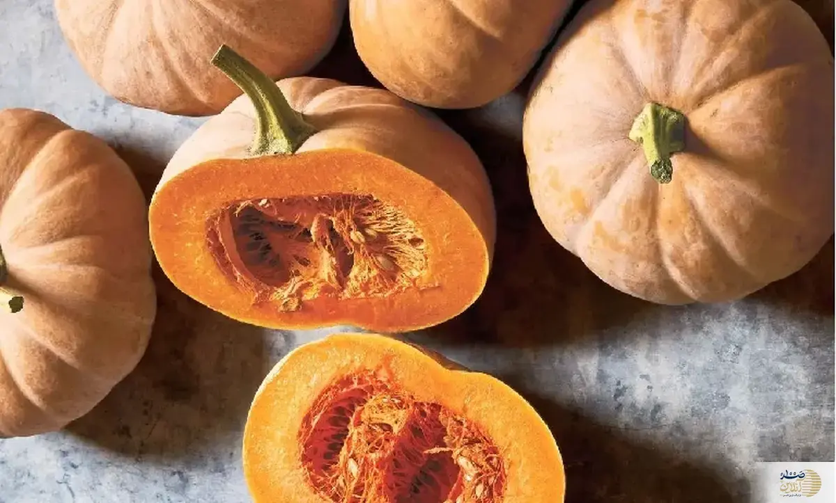 این کدو بمب سلامتی بدن شماست از آن غافل نشوید