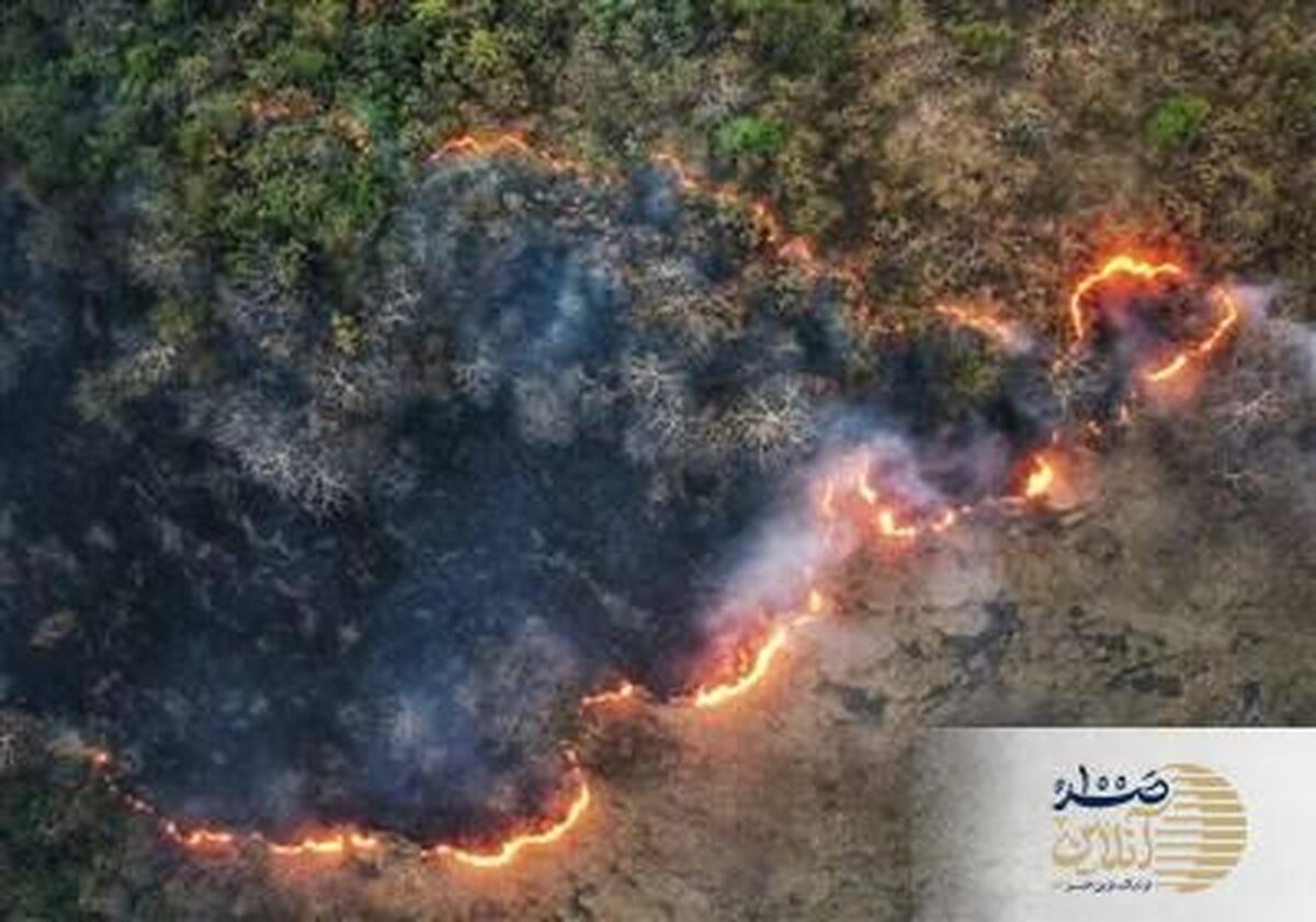 وقتی تخریب محیط‌زیست به میدان جدید جنگ علیه ایران تبدیل می‌شود