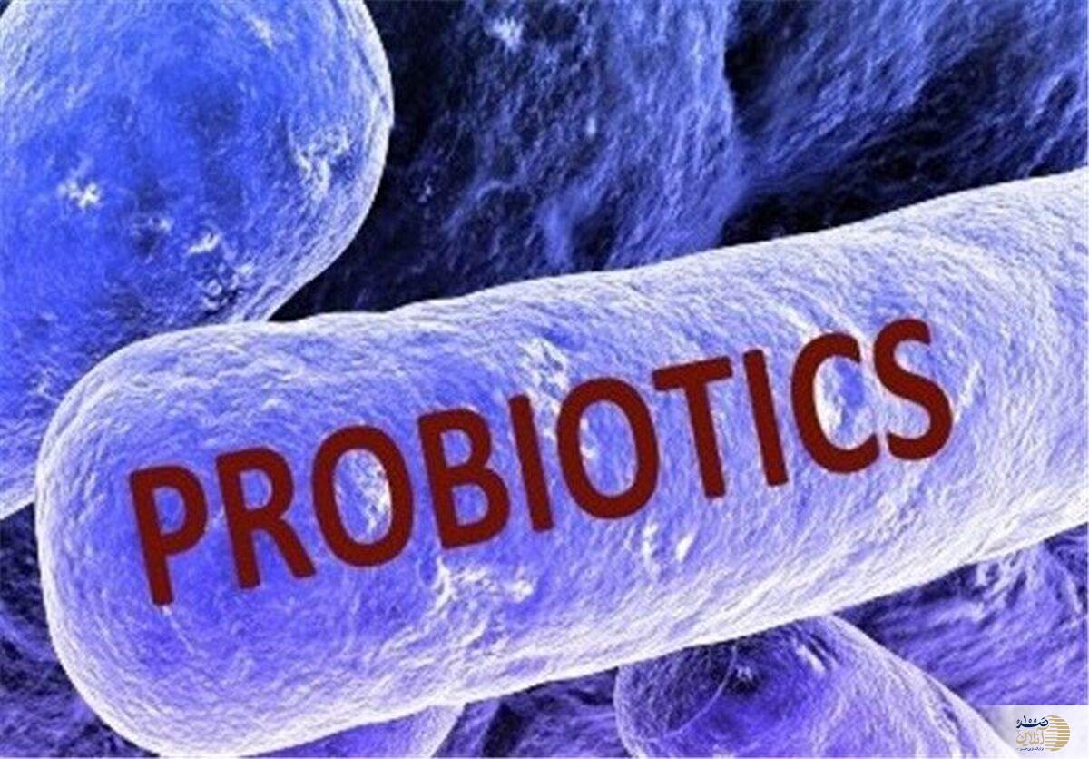 به این دلیل هر روز پروبیوتیک بخورید
