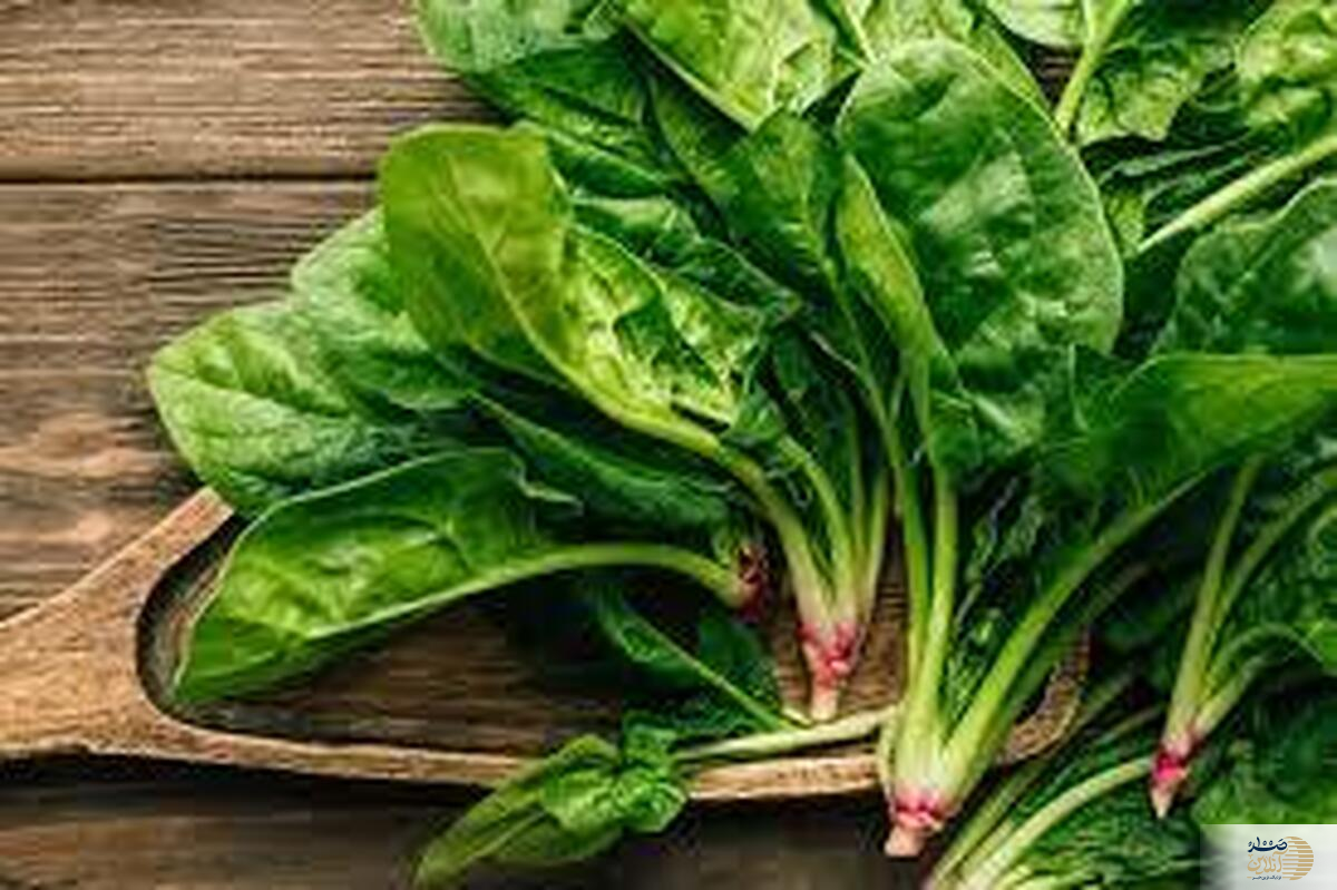 با این دو خوراکی سلامت عمومی بدنتان را فول انرژی بکنید