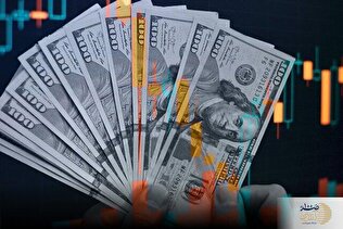 آخرین قیمت دلار در بازار آزاد/ دلار نسبت به قبل از جنگ تحمیلی چه تغییری کرد؟ + جدول قیمت