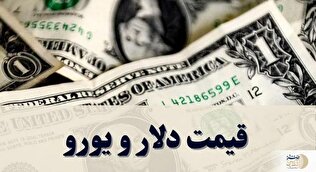 جدیدترین  قیمت دلار و یورو امروز دوشنبه ۱۴ اردیبهشت ۱۴۰۵ + جدول