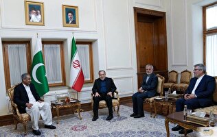 دیپلماسی فشرده؛ دومین دیدار  وزیر کشور پاکستان و عراقچی در سایه حل اختلافات