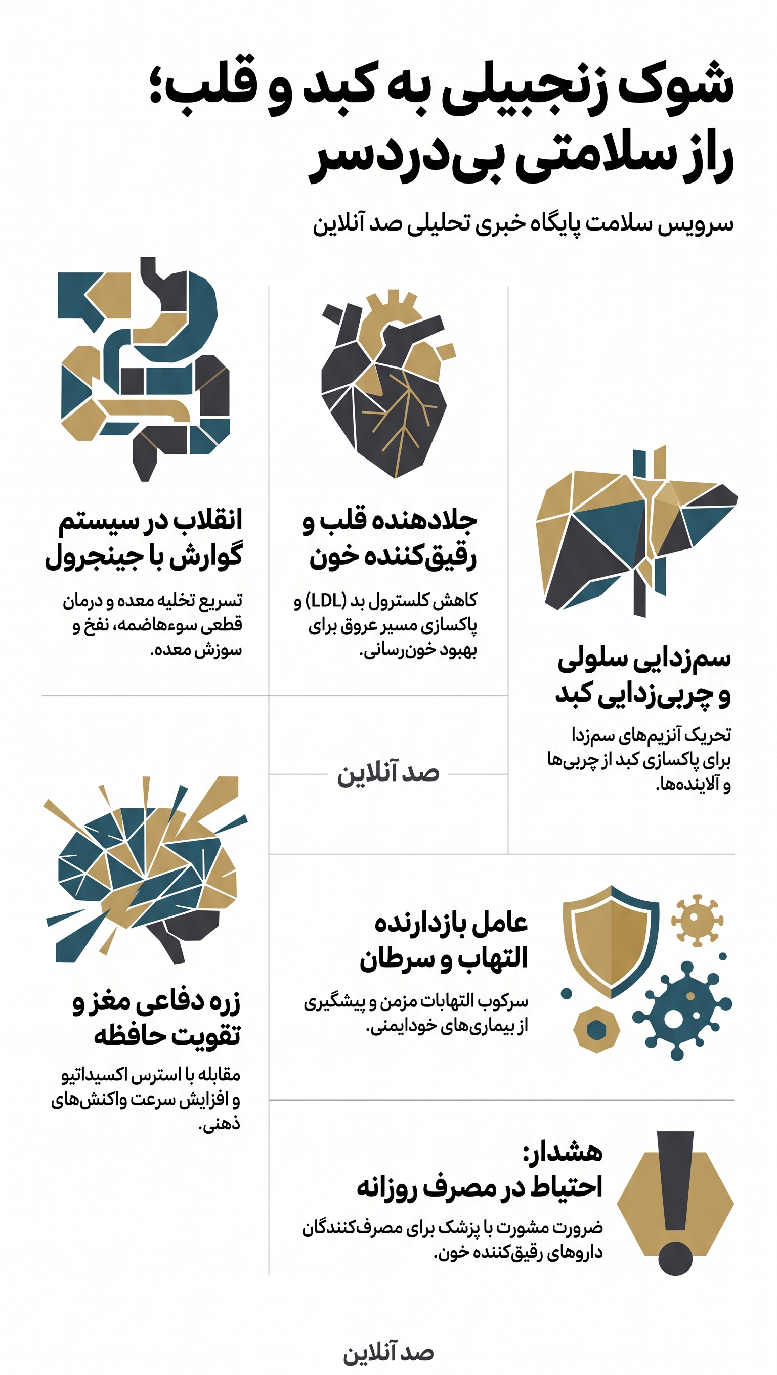 شوک زنجبیلی به کبد و قلب؛ چرا ثروتمندان هر روز زنجبیل می‌خورند؟ / فاش شدن راز سلامتیِ بی‌دردسر!
