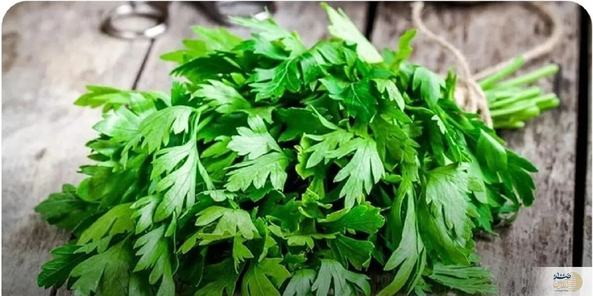این سبزی پوست شما را زیبا و لاغری را به شما هدیه می‌دهد