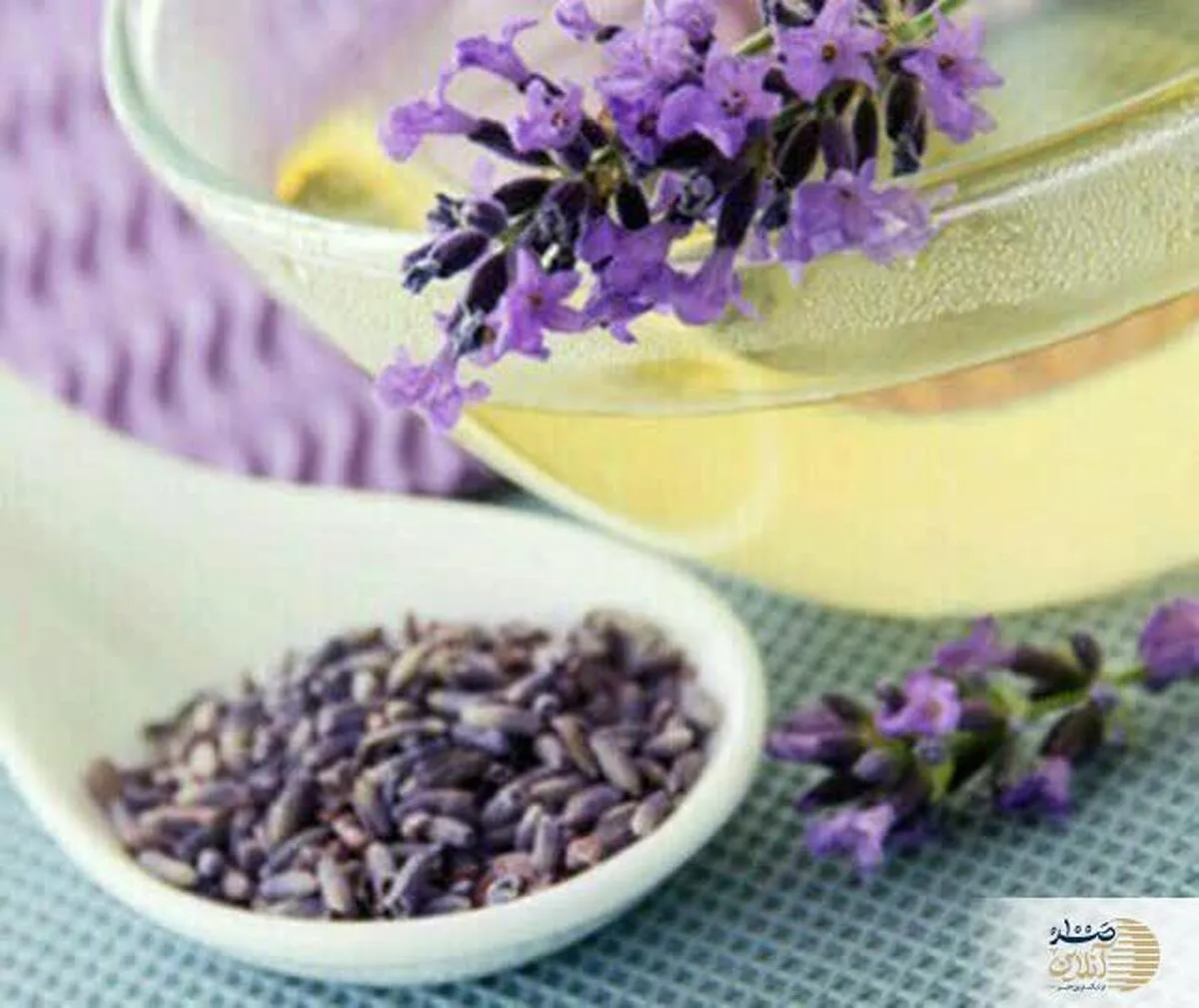 نسخه عالی ابن سینا برای درمان ﺗﻨﺶﻫﺎی ﻓﻜﺮی و بد بینی و وسواس و کنترل خشم و شخصیت دو قطبی