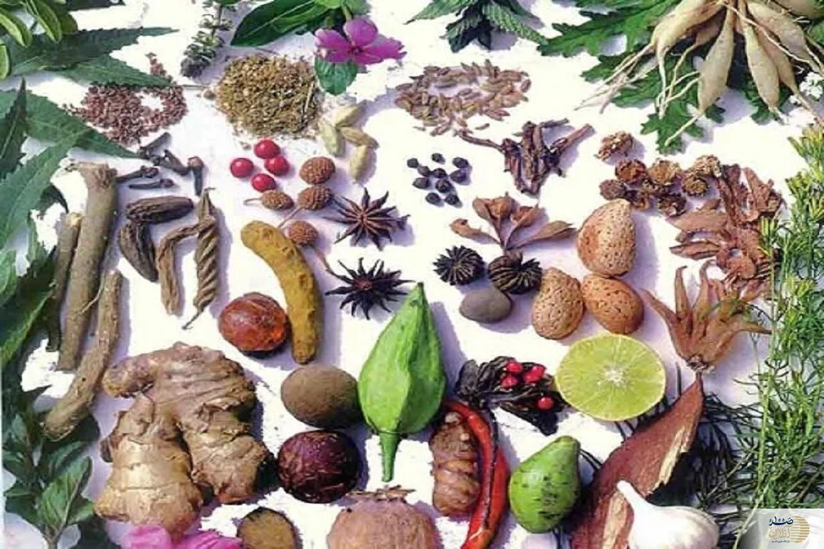 این داروهای طبیعی قاتل چربی خون بالای شماست