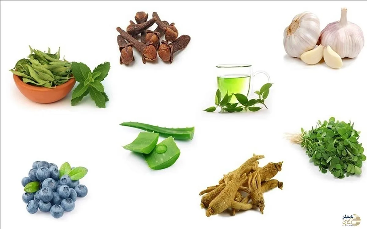 اگر دیابت دارید این گیاهان و ادویه ها دوای درد شماست