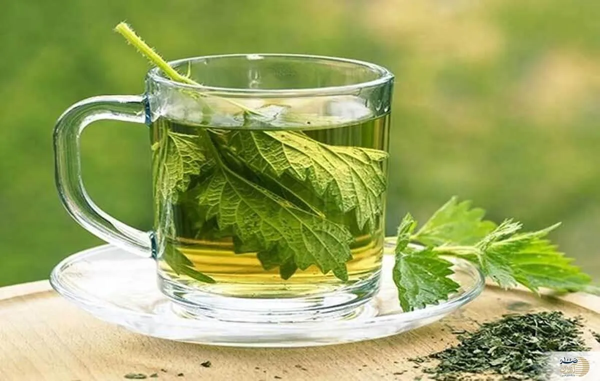 این نوع چای فشار خون را پایین می آورد یا نه؟