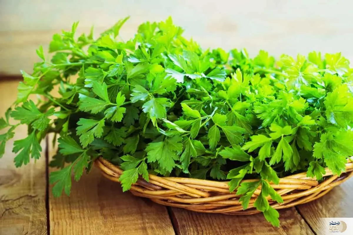 این سبزی کلیه‌ها را تصفیه و استخوان و دندان‌ها را تقویت می‌کند