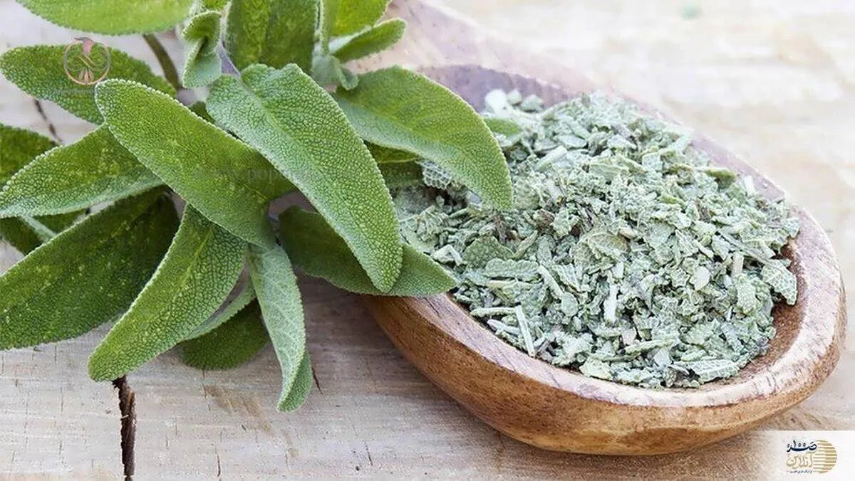 این گیاه باعث کنترل شوره سر و ریزش مو می شود