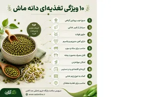 ماش؛ گنجینه پروتئین گیاهی در سفره ایرانی/ ۱۰ ویژگی تغذیه‌ای که باید بدانید