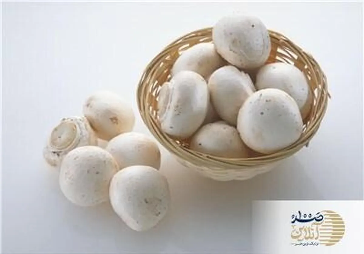 این ماده پر مصرف در ایران عمر انسان ها را به 40 سال کاهش داده است /مافیای داروی شیمایی پشت تبلیغ این غذاست