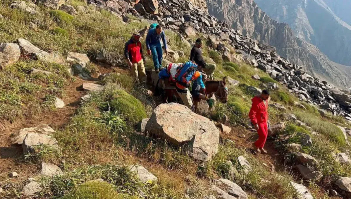 سقوط ۴۴۰۰ متری در دندان اژدها/ کوهنورد همدانی چگونه زنده ماند؟