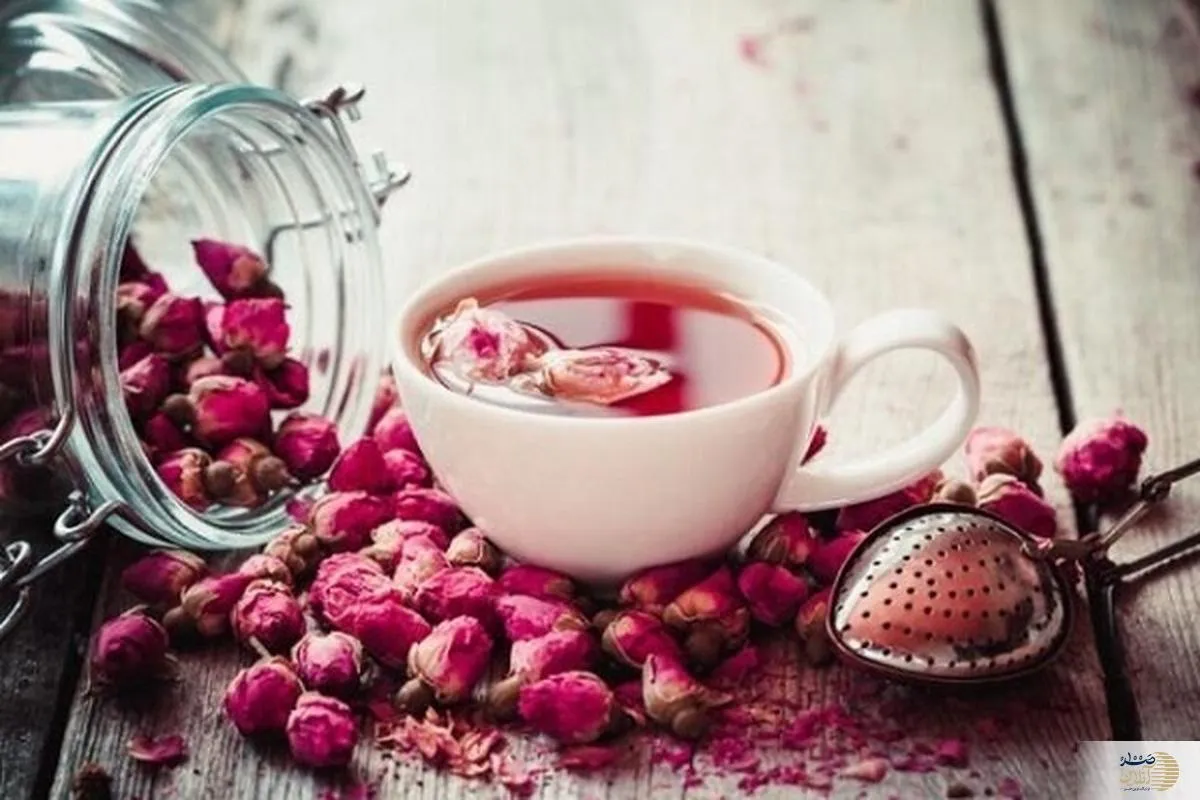 از استحکام لثه تا درمان سردرد/ هر آنچه از گل محمدی و گلاب باید بدانید