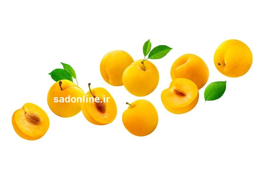 خواص زرد آلو