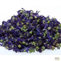 این پنیرک درمانگر درجه یک سنگ کلیه و ادرار آور است