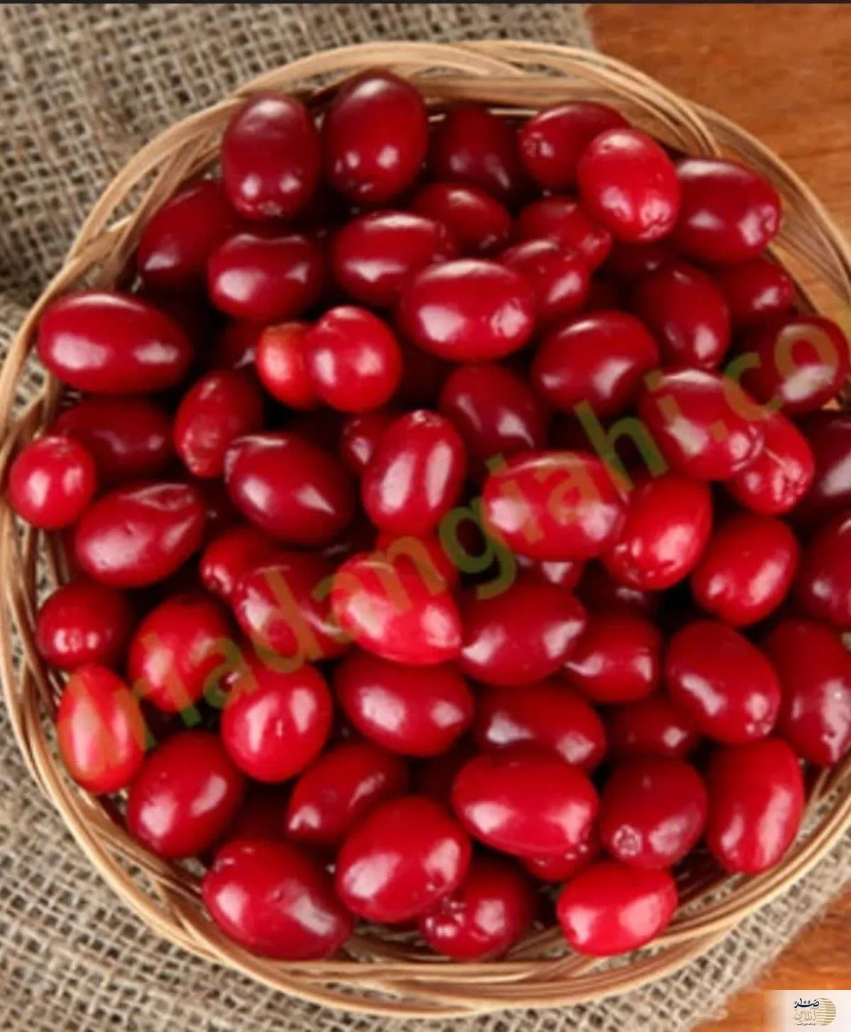 این میوه کوچک با خواص شگفت‌انگیز را بشناسید