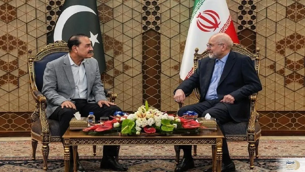 فرمانده ارتش پاکستان با رئیس مجلس ایران دیدار کرد