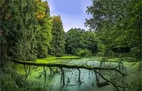 مرداب دیوک؛ سرزمین افسونگر کجاست؟