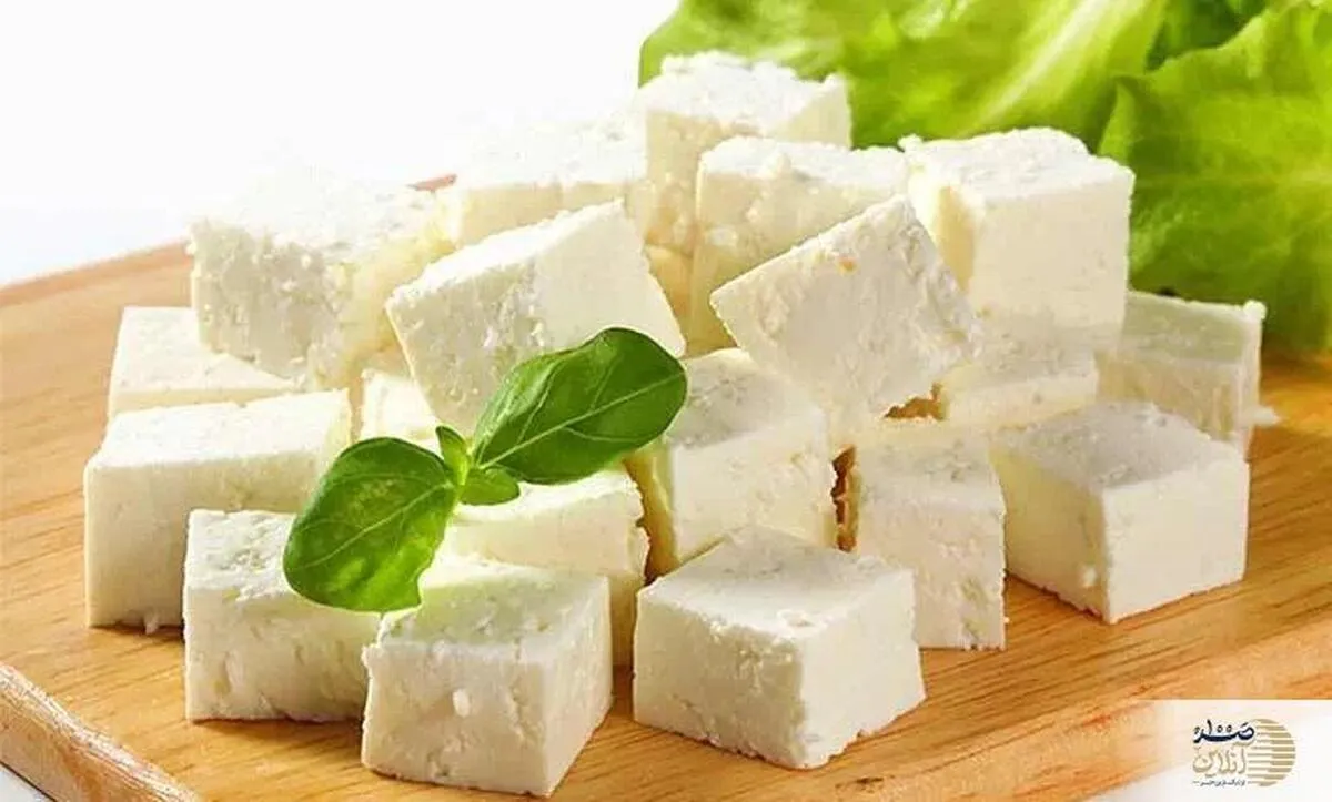 شوک بزرگ به دوست‌داران پنیر/ این غذای محبوب، بدنتان را فرسوده می‌کند!