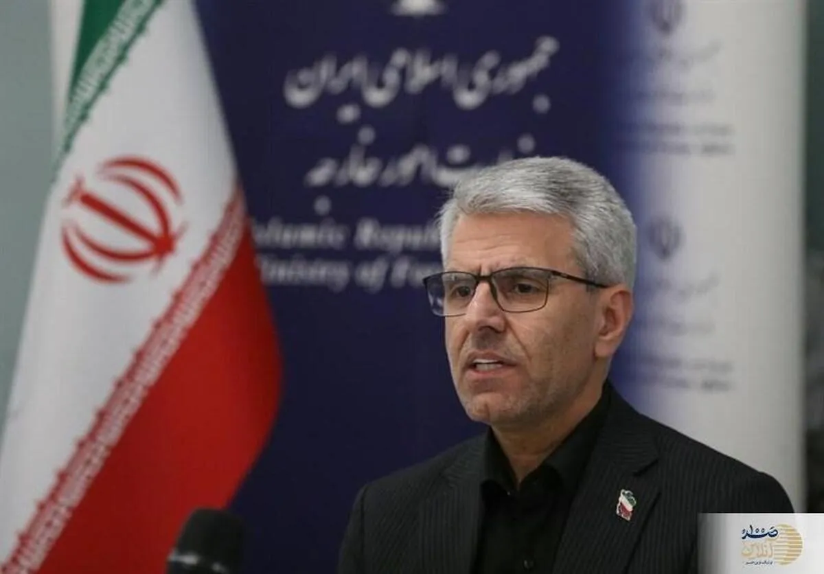 اسماعیل بقایی: نکات خود درباره جنگ تحمیلی را به میانجی‌ها منتقل کرده‌ایم