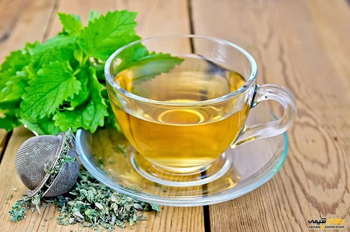 خاصیت گیاه مورد علاقه ابوعلی سینا برای قلب و معده و کبد