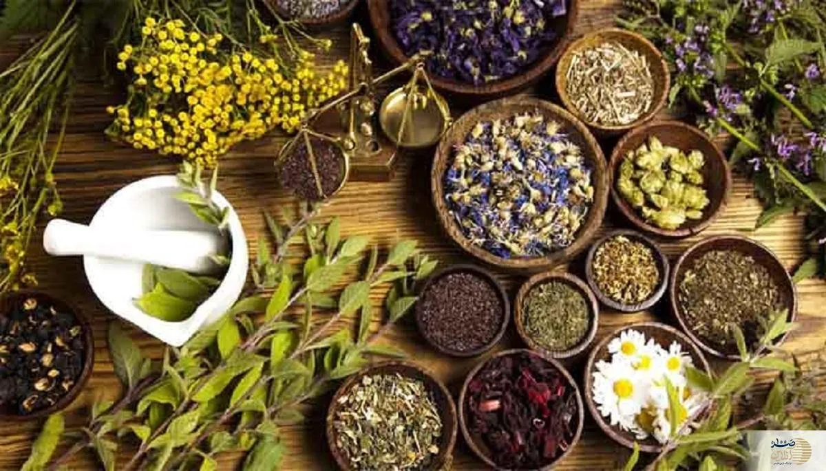 بلغم چیست؟/ توضیح طبع سرد و مرطوب از نگاه طب سنتی