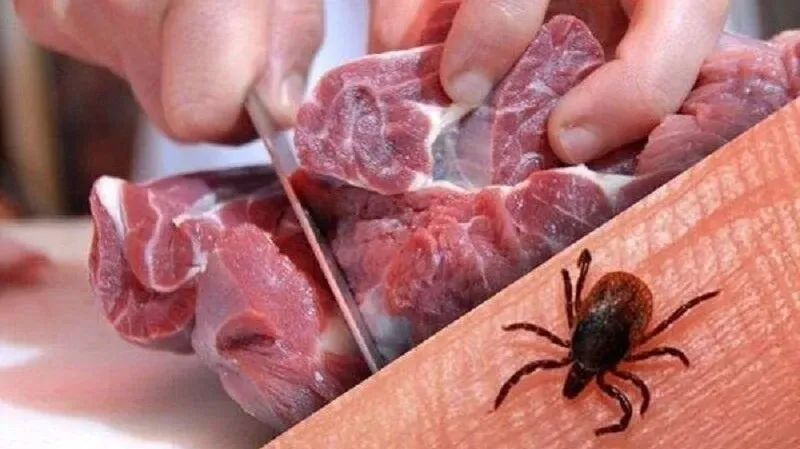 شمار مبتلایان به تب کریمه کنگو در یزد