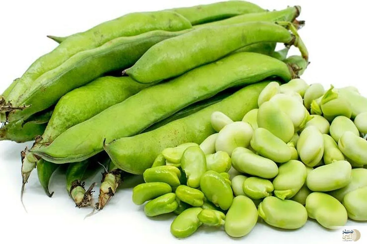 اختصاصی اینفوگرافیک / دانه گیاهی بهار برای درمان بیماری ها در بهار