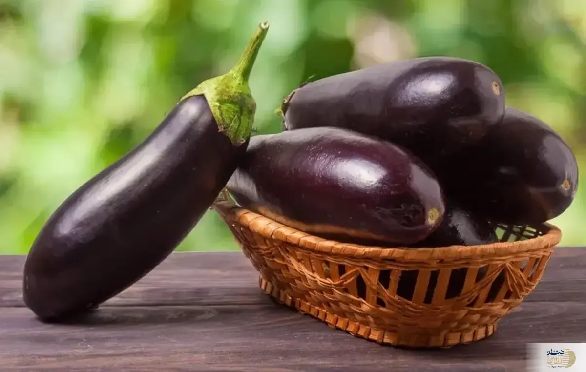 اگر بعد از خوردن بادمجان دچار خارش دهان و تهوع می‌شوید، این مطلب را بخوانید