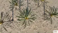 روستایی ناشناخته در شرق هرمزگان + فیلم