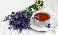 حذف مصرف این گیاه طلایی 14 بیماری را رواج داده است