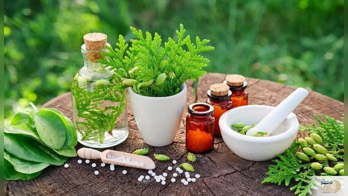 پوکی استخوان دارید؟ ۹ توصیه معجزه گر طب سنتی برای درمان پوکی استخوان