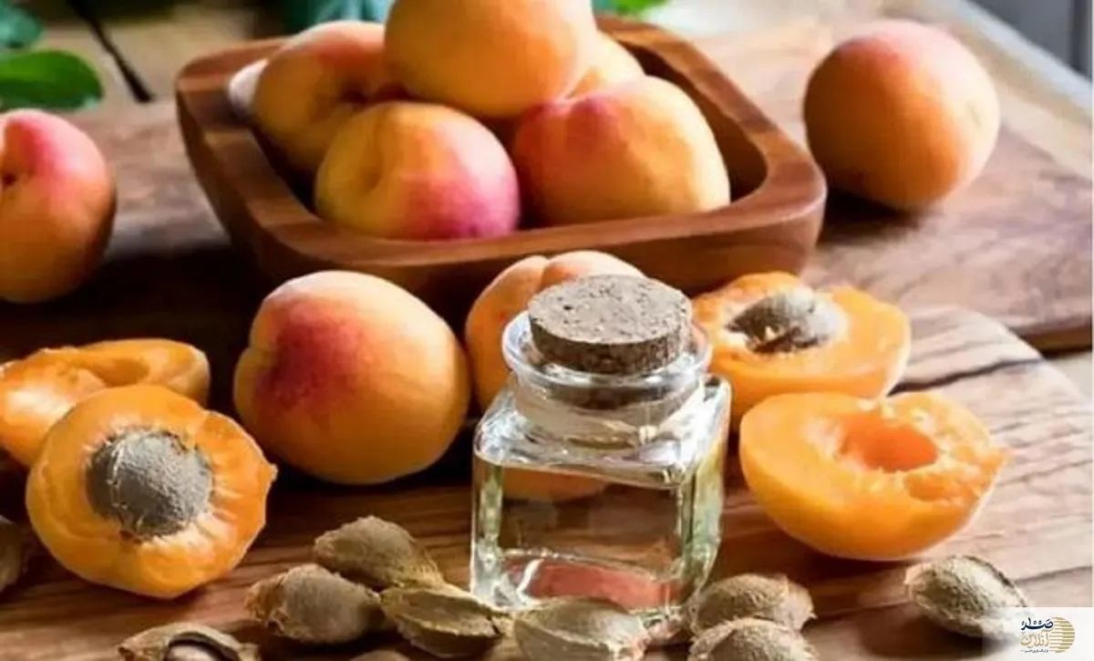 دشمن شماره 1 سلول‌های سرطانی را دور نندازید ! | با خورن این مغز سرطان و دور بزنید