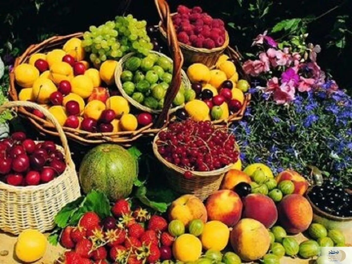 در هنگام تاریکی هوا لب به این چهار میوه نزنید