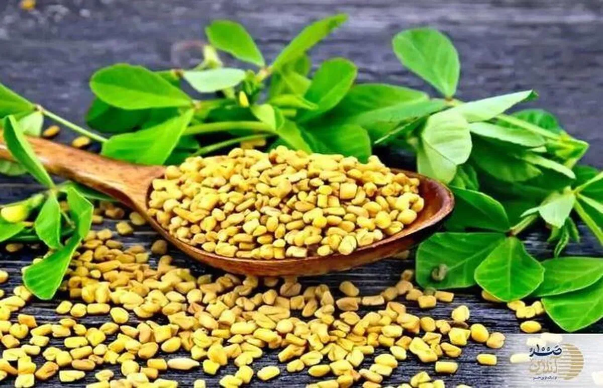 افزایش تولید هورمون های جنسی و سلامت کلیه ها با این دمنوش خانگی