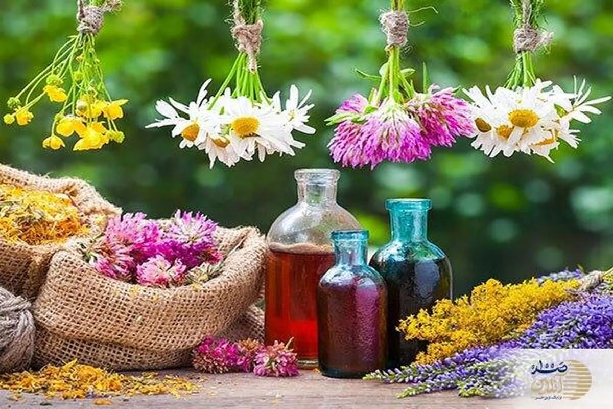 درمان قطعی فشار خون با یک دستور و ترکیب طلایی گیاهی / رضایت هزاران بیمار از این روش