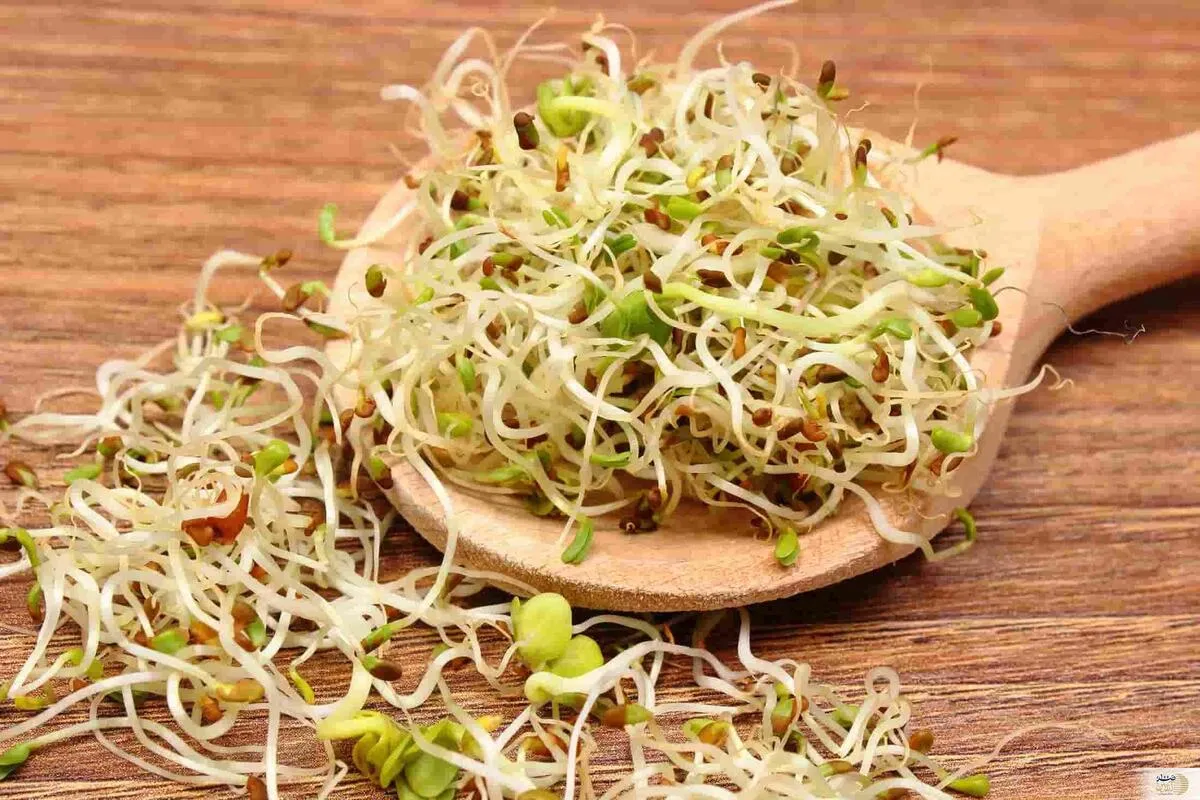 این گیاه معجزه ای در درمان کاهش چربی‌ و قند خون و کبد چرب