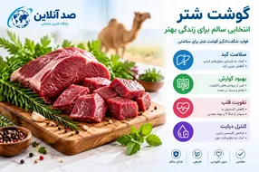 کشتارگاه بیماری‌های مدرن در بشقاب غذا؛ معجزه «گوشت شتر» از کبد چرب تا دیابت و قلب!