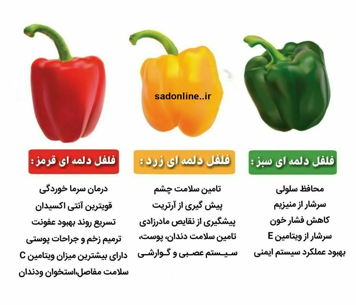 فلفل دلمه ای