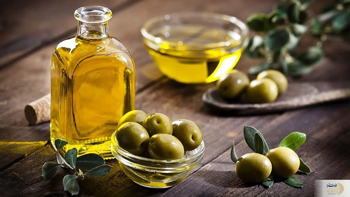 روغن زیتون همیشه مفید نیست/ نتایج یک بررسی تازه درباره چاقی