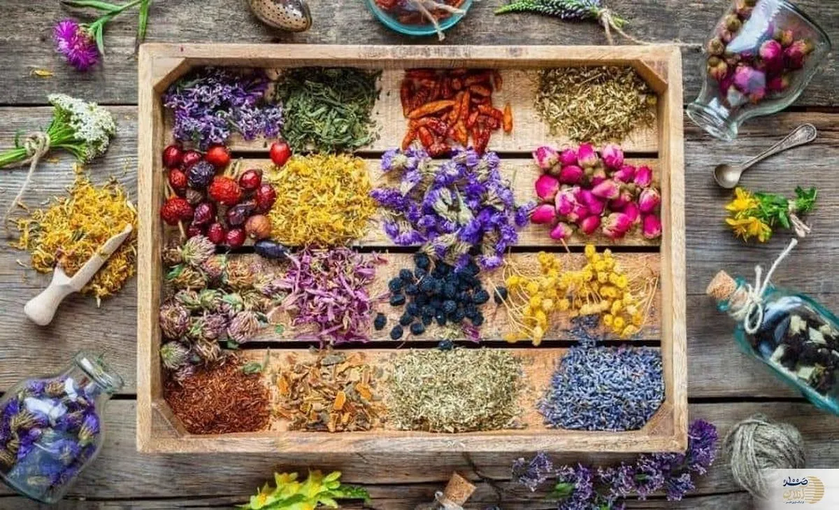 قبل از خوردن داروی گیاهی، این هشدارها را بدانید + ویدیو