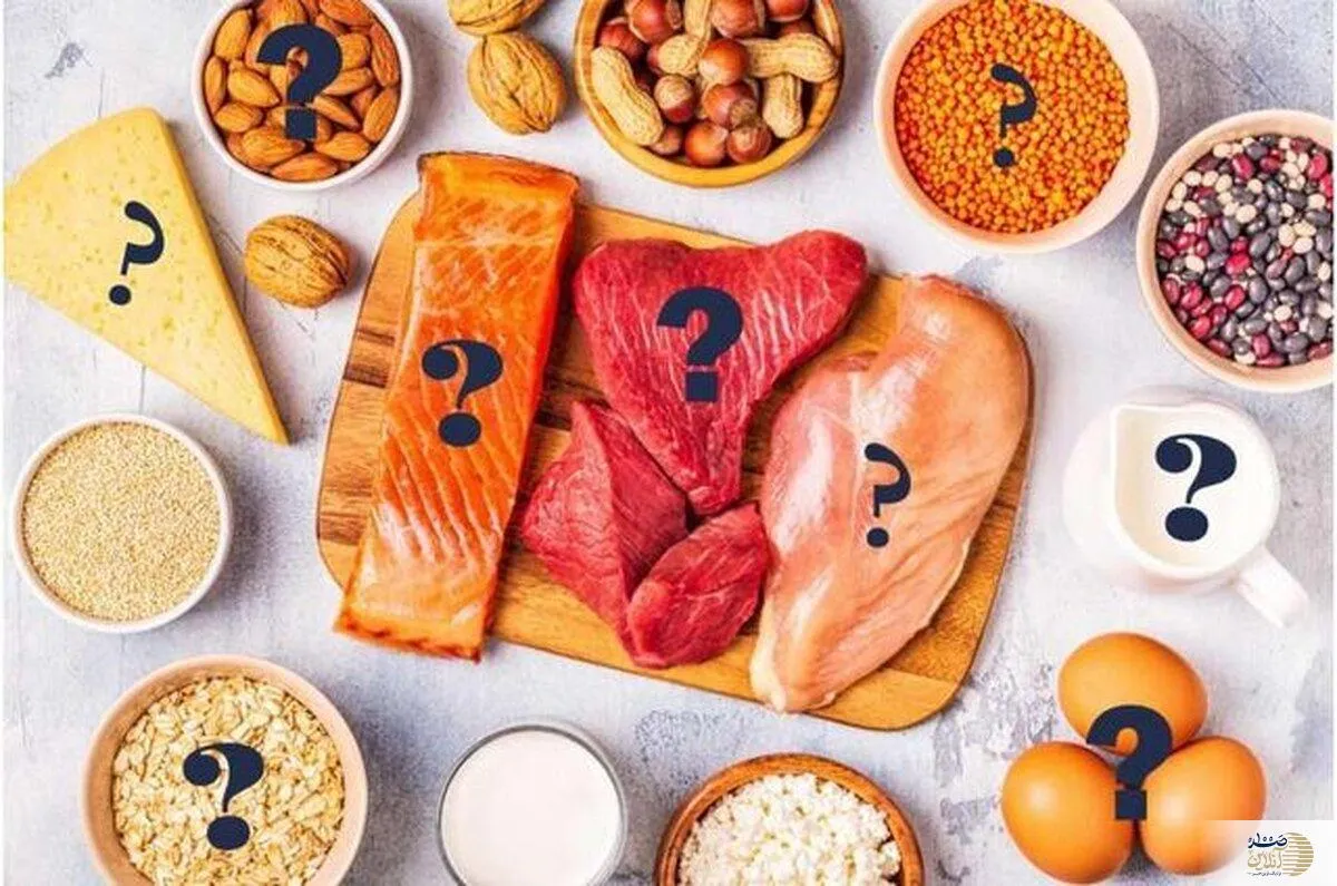 پروتئین مورد نیاز بدن شما چه مقدار است؟