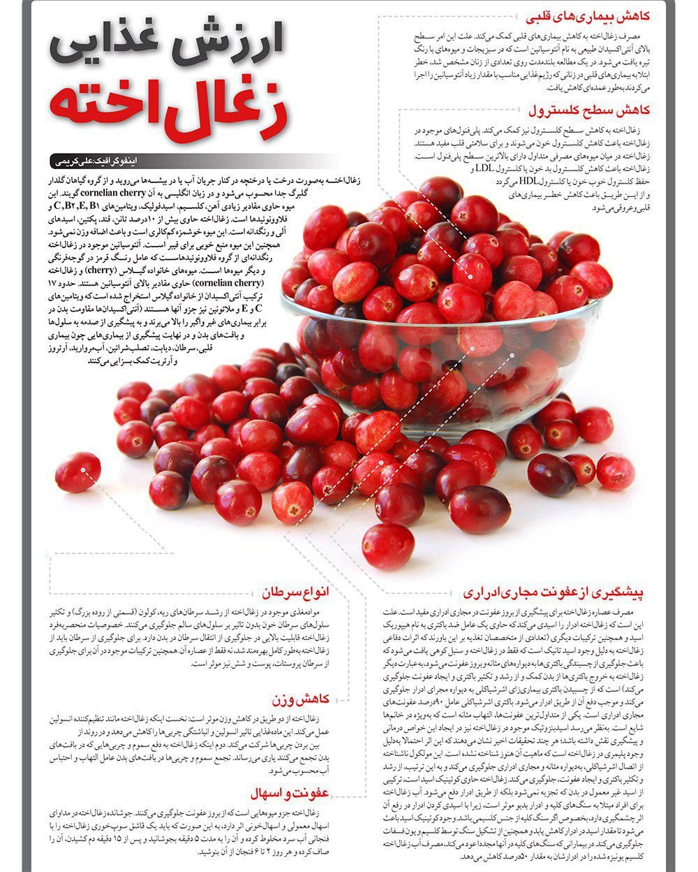 از شستشوی خون تا بازسازی کبد و قلب و کلیه های خراب؛ راز پنهانی که پزشکان و داروسازان درباره این میوه جادویی کمتر میگویند! از شستشوی خون تا بازسازی کبد و قلب و کلیه های خراب؛ راز پنهانی که پزشکان و داروسازان درباره این میوه جادویی کمتر میگویند!