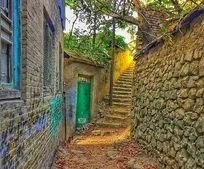 تفریح در میان ارتشی از درختان