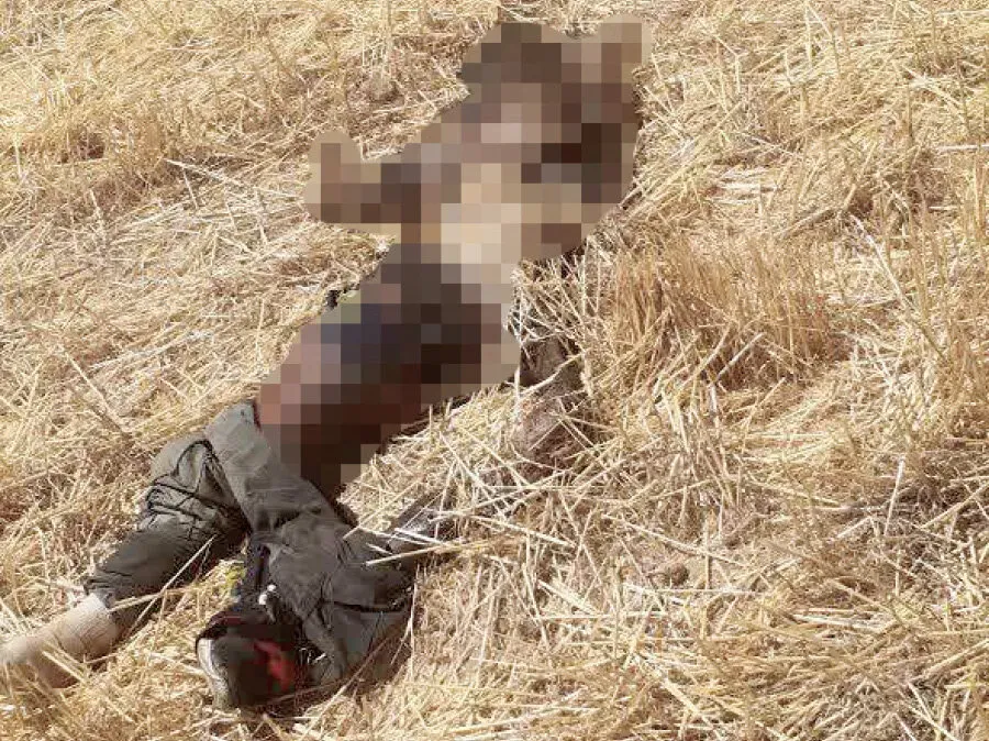 پایان معمای دو ساله/ جسد راننده گمشده در حالی پیدا شد که حیوانات آن را خورده بودند