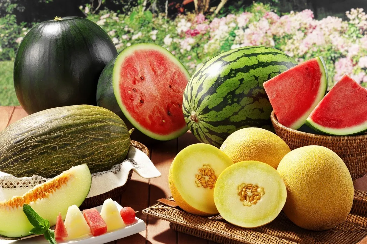 این میوه ها راه نجات شما از کم آبی