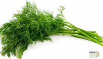 بدون این سبزی شبها غذا نخورید / لاغری بدون دردسر + پاکسازی کبد و دستگاه گوارش در خواب شبانه
